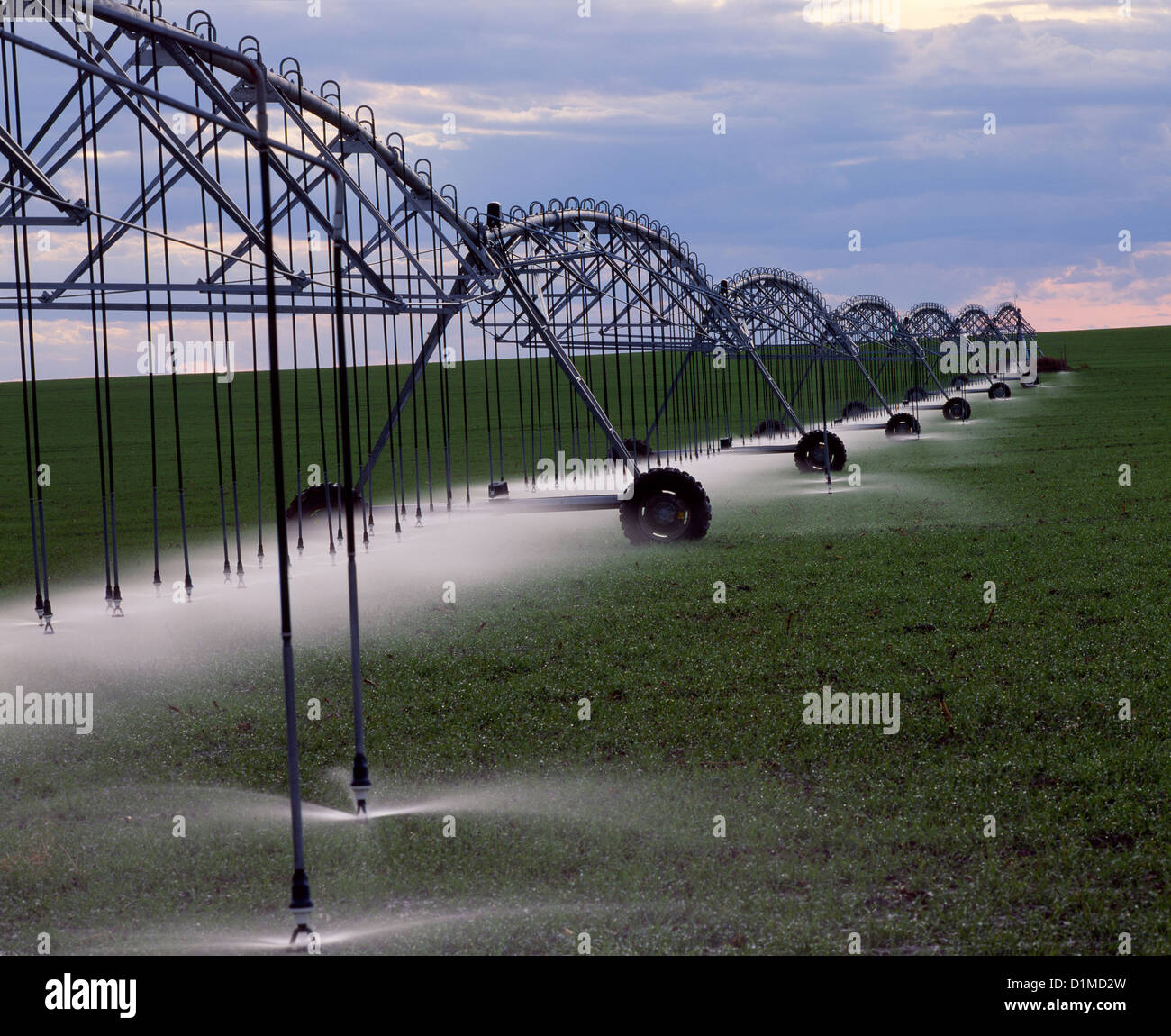 Low pressure drip irrigation hires stock photography and images Alamy