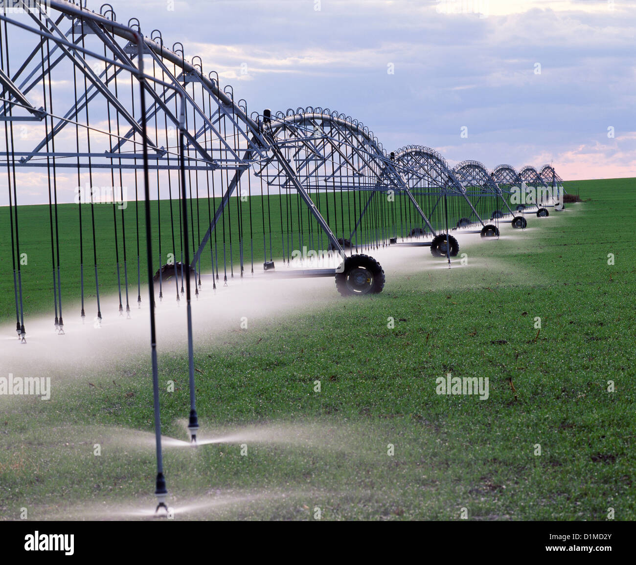 LOW PRESSURE DRIP IRRIGATION ON WINTER WHEAT USING VALLEY IRRIGATION
