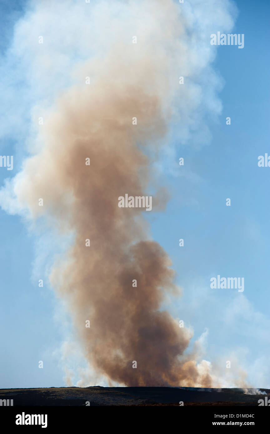 Plume of smoke high over a heather moor being burnt in spring. Stock Photo