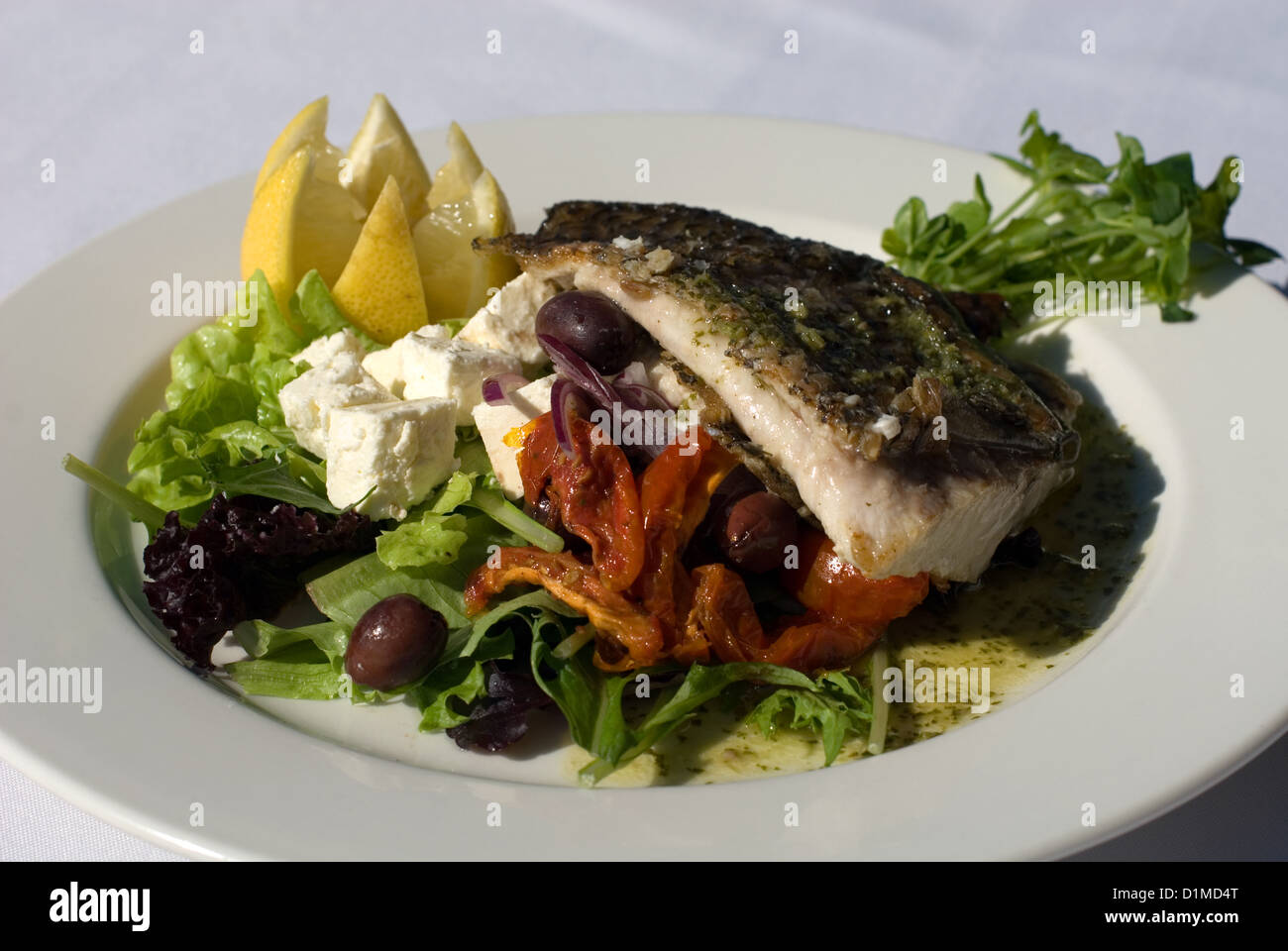 Grilled Barramundi, served with a Greek-style Salad Stock Photo