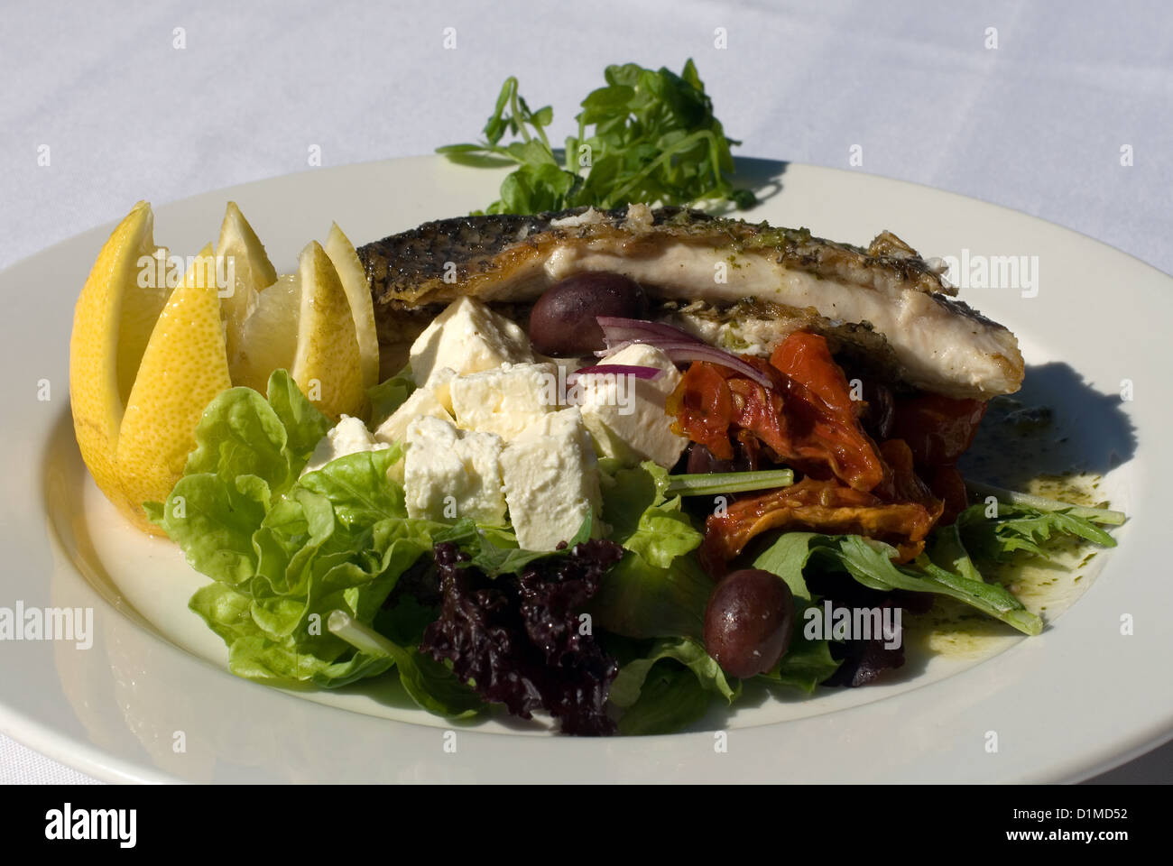 Grilled Barramundi, served with a Greekstyle Salad Stock Photo Alamy