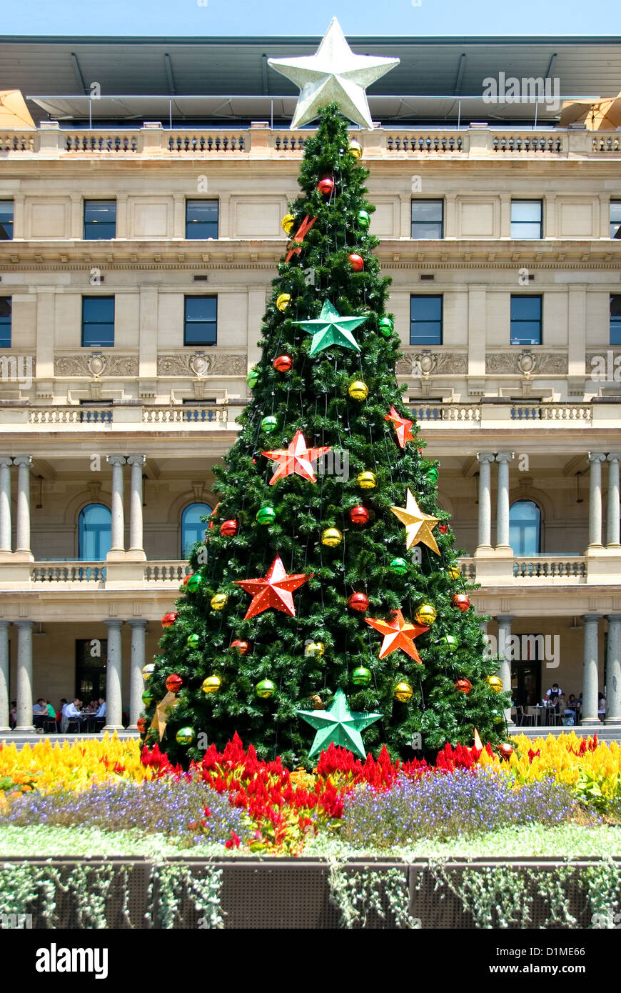 A Christmas Tree in the courtyard of an innercity building, Sydney