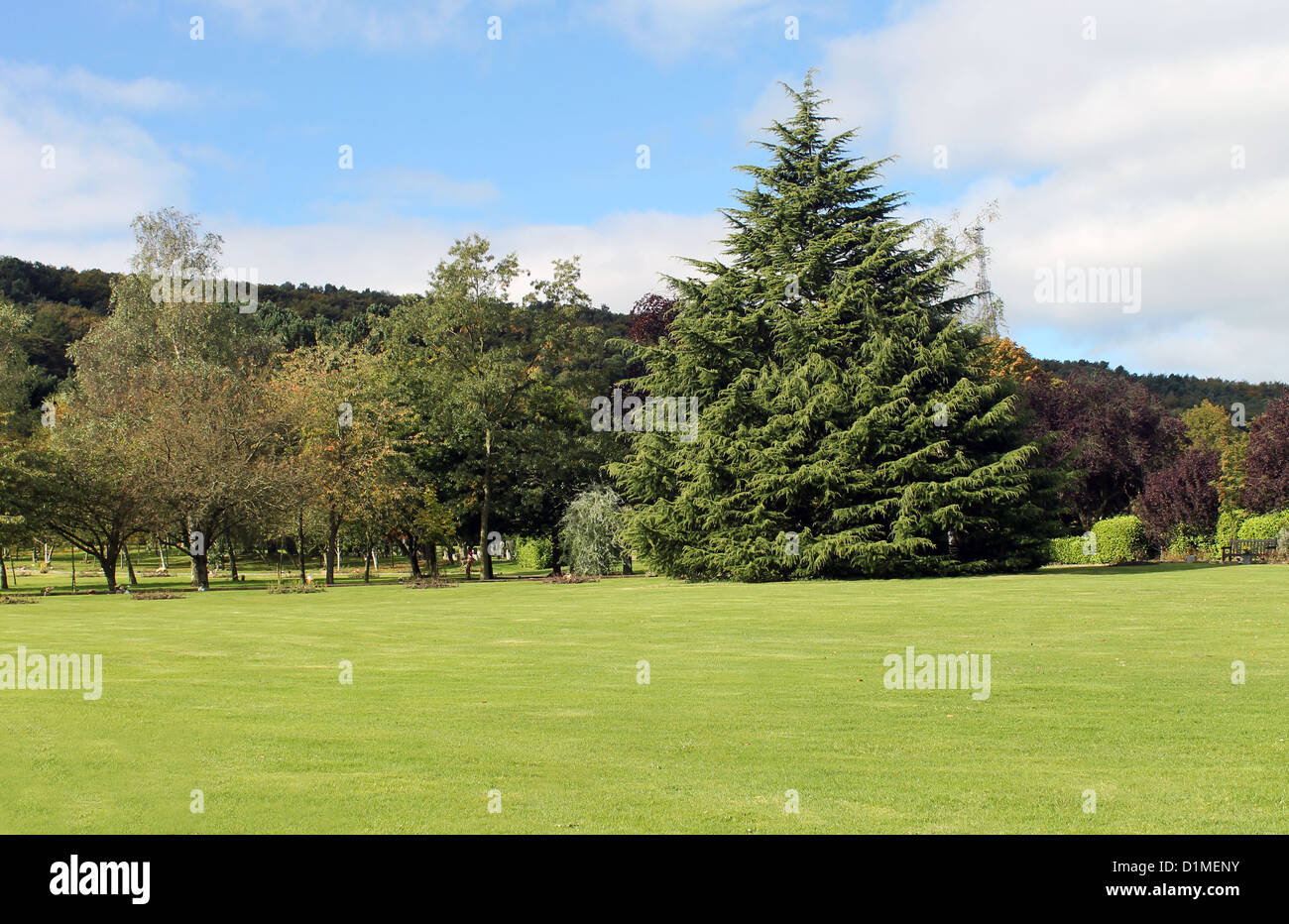 Scenic view of beautiful park in countryside with grass in foreground. Stock Photo