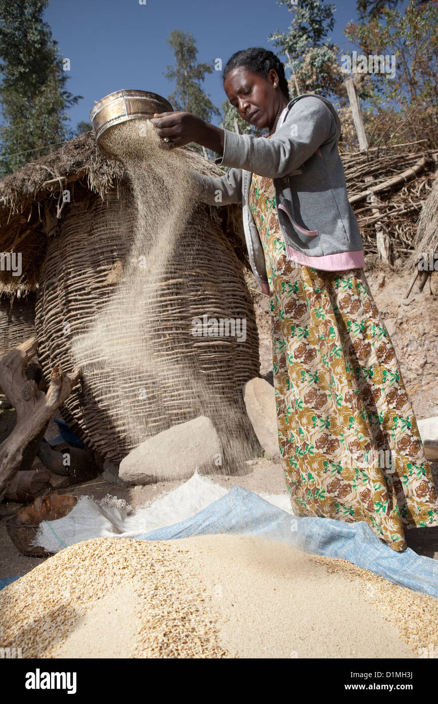 A woman winnows tef grain outside her home in Ankober, Ethiopia. Stock Photo