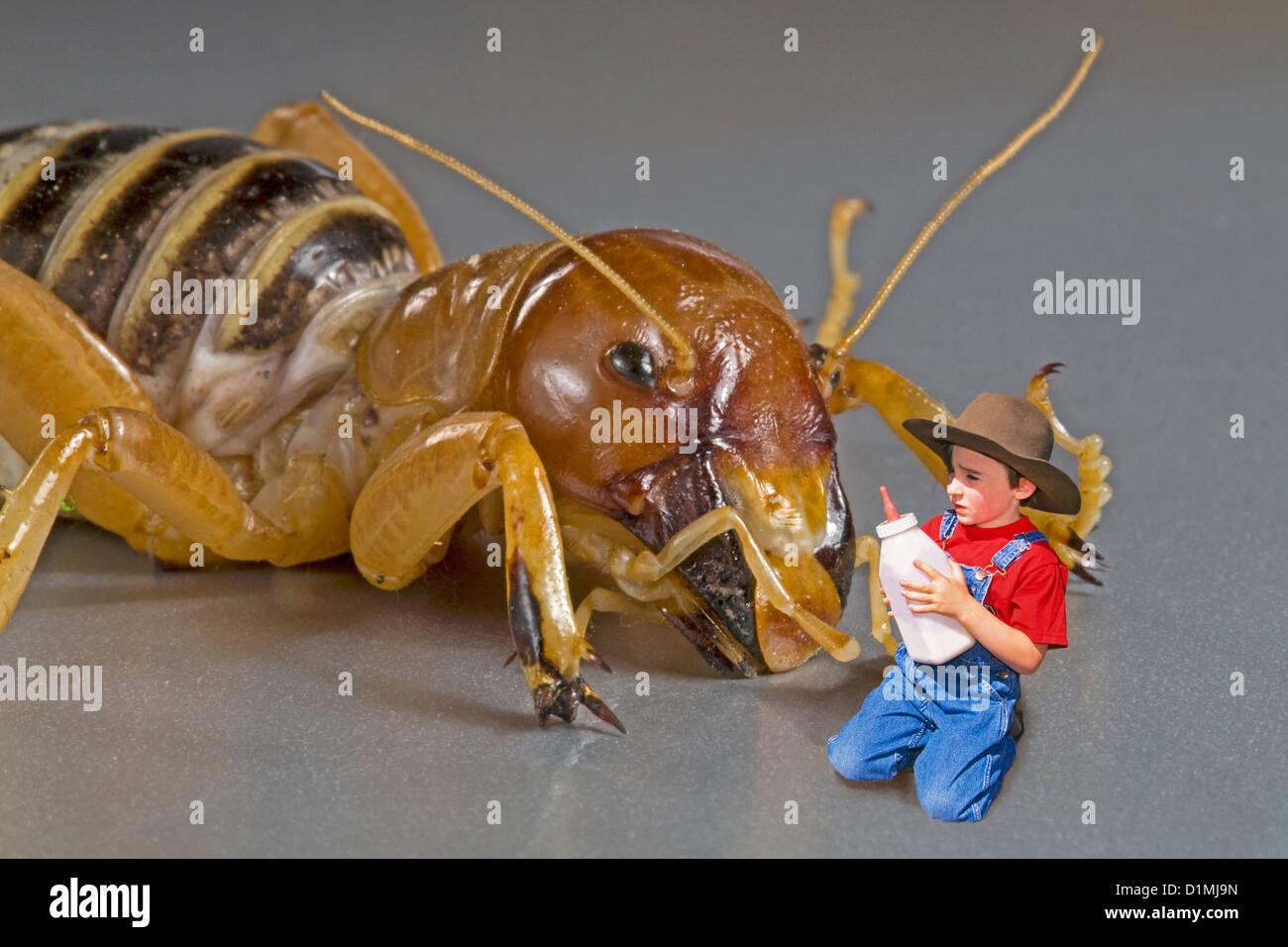 A young farm boy feeding a giant insect a bottle of milk. Stock Photo