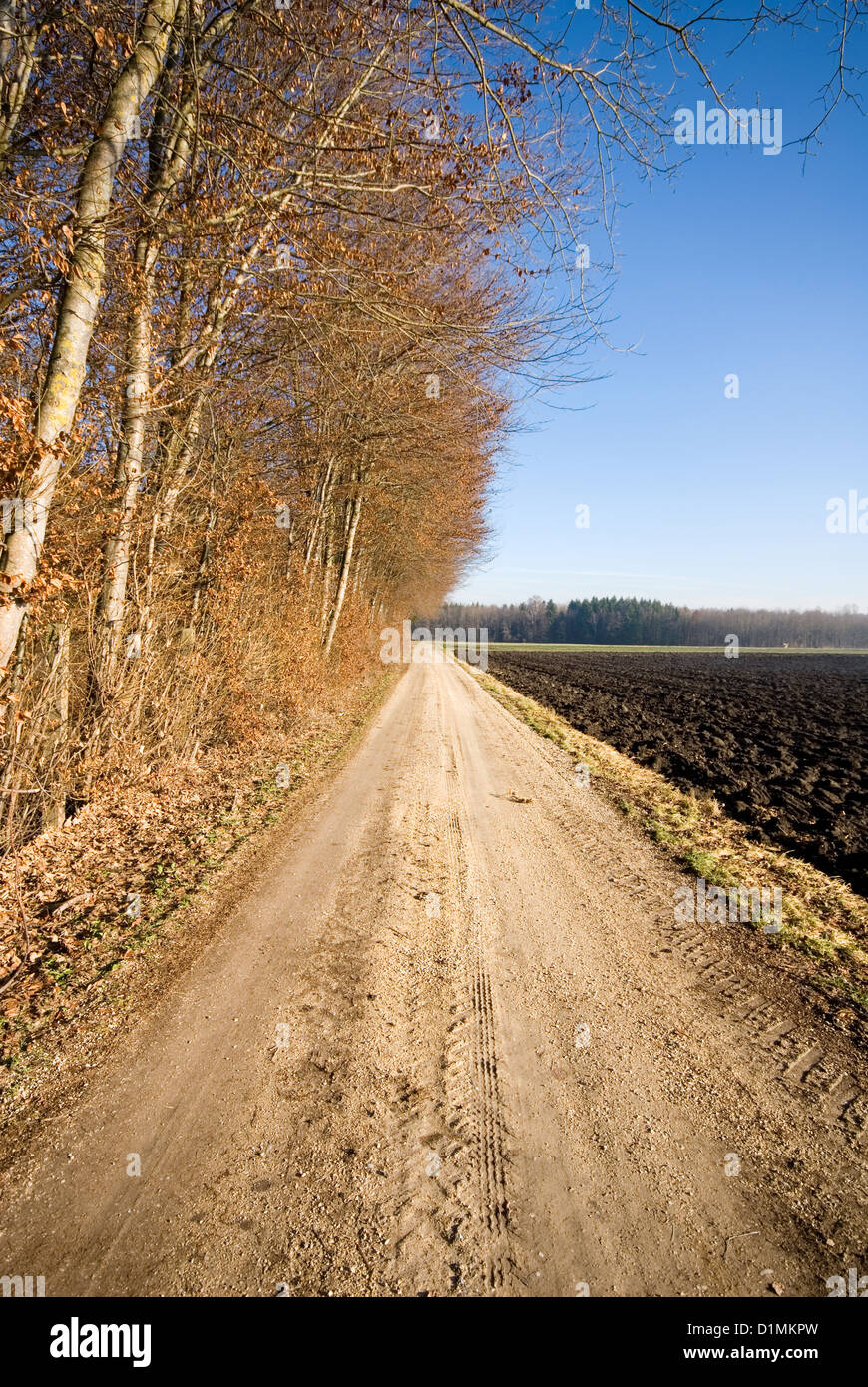 A country lane in farmland, Germany Stock Photo