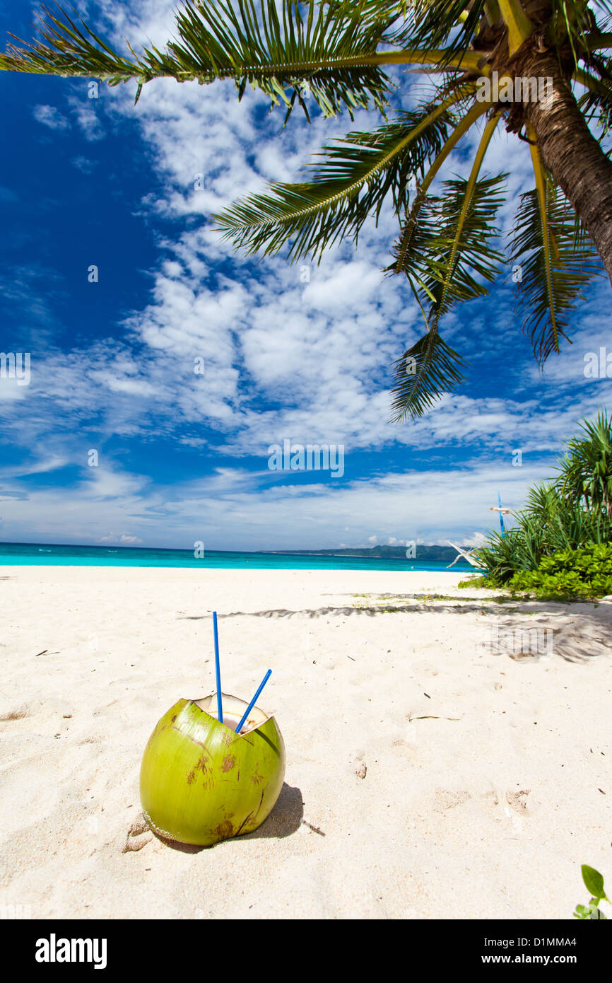 Coconut tree fruit hires stock photography and images Alamy