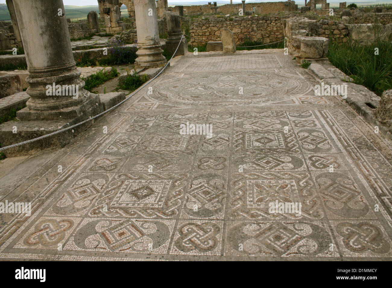 Roman mosaic at Volubilis, near Fes, Morocco Stock Photo