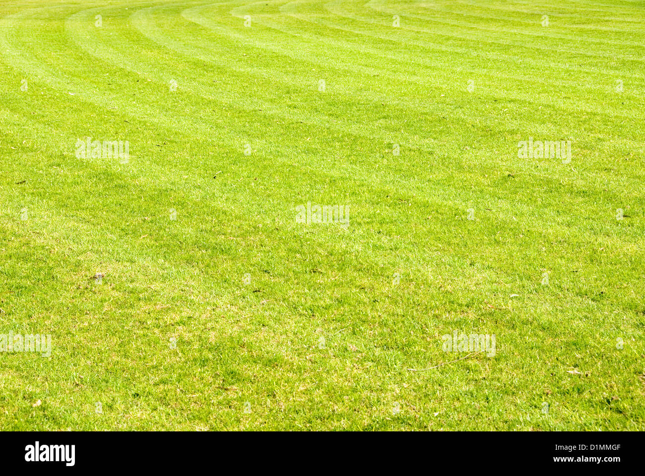 A grass sports field Stock Photo