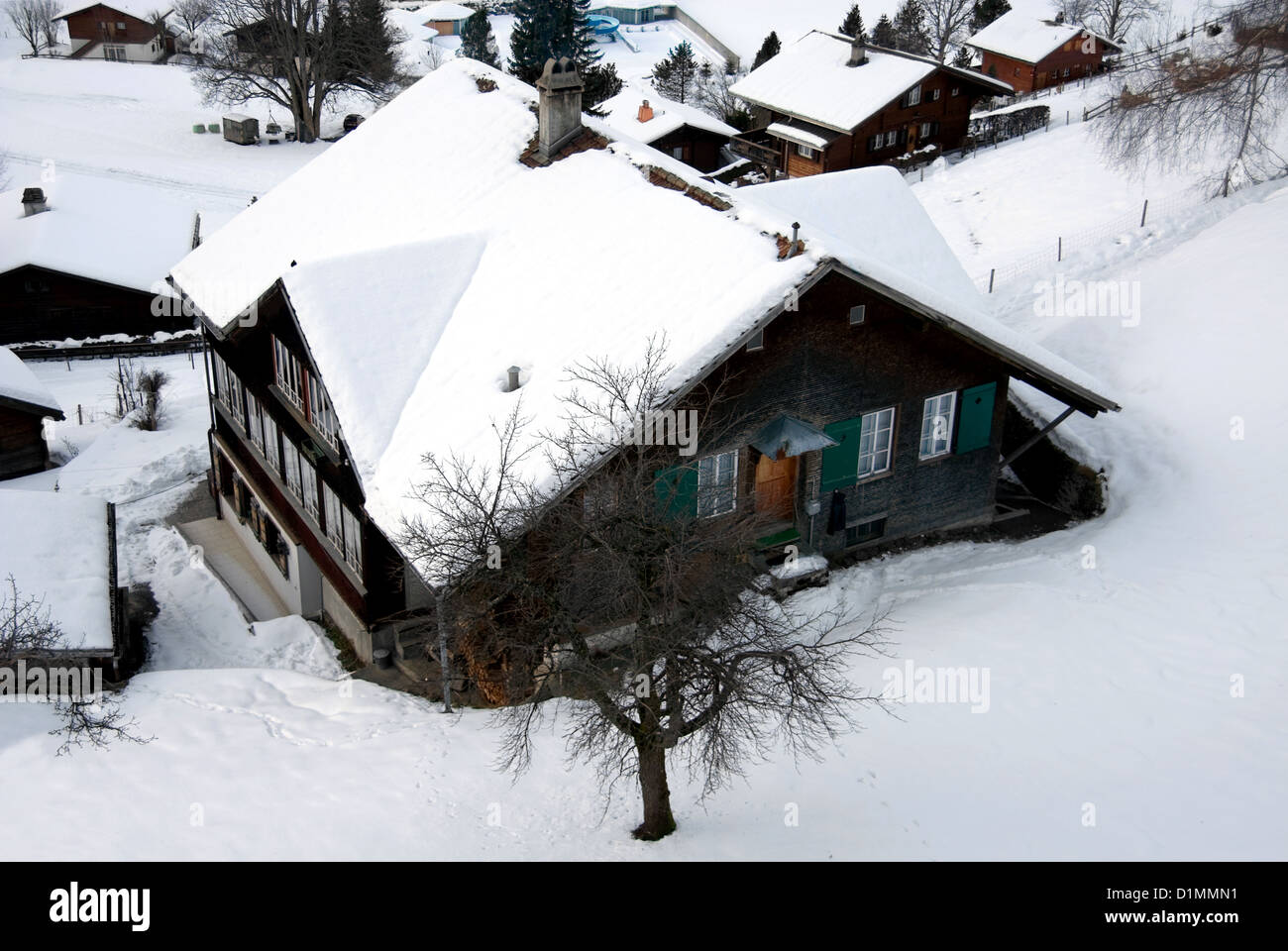 Chalets in the Swiss town of Grindelwald Stock Photo Alamy