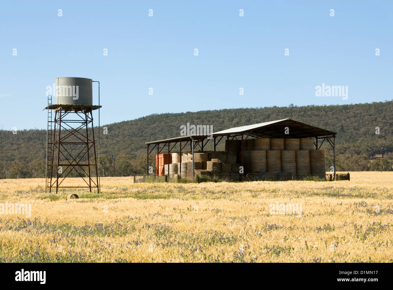 Water storage containers hi-res stock photography and images - Alamy
