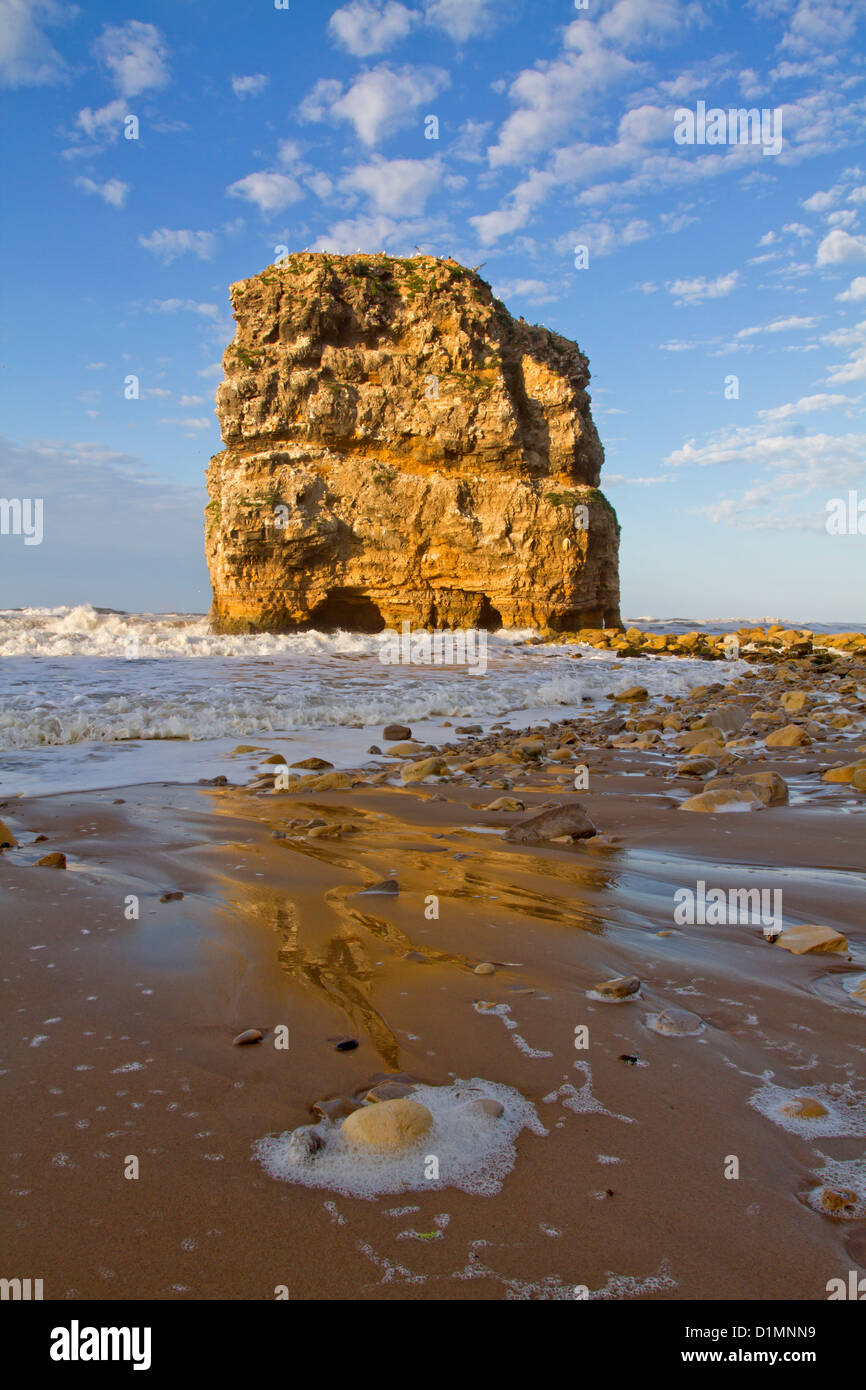 Marsden Rock, a rock formation in the North Sea at Marsden Bay, South Shields, Tyne and Wear, England, UK Stock Photo