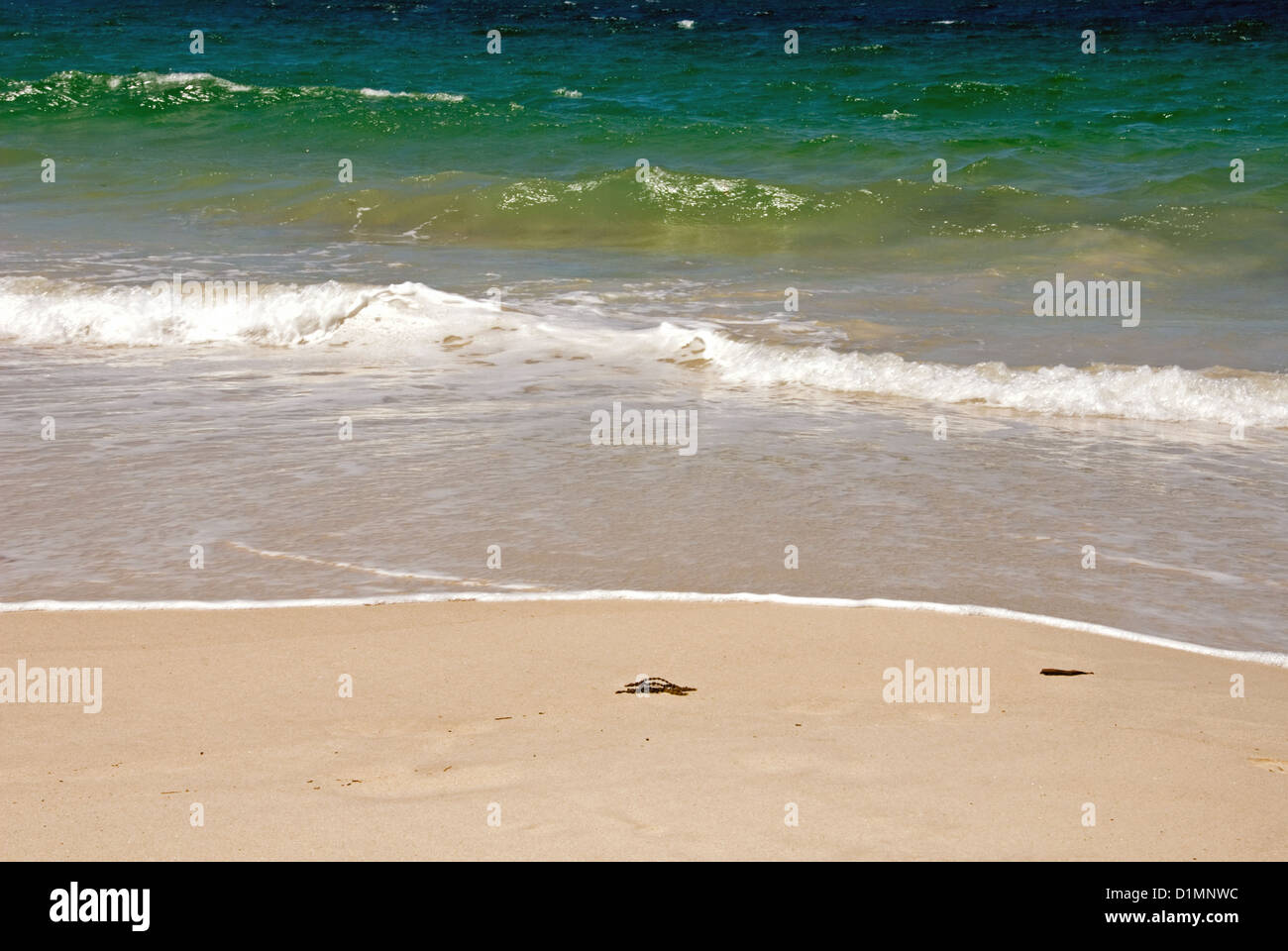 The striking colours of an East Coast beach, Australia Stock Photo
