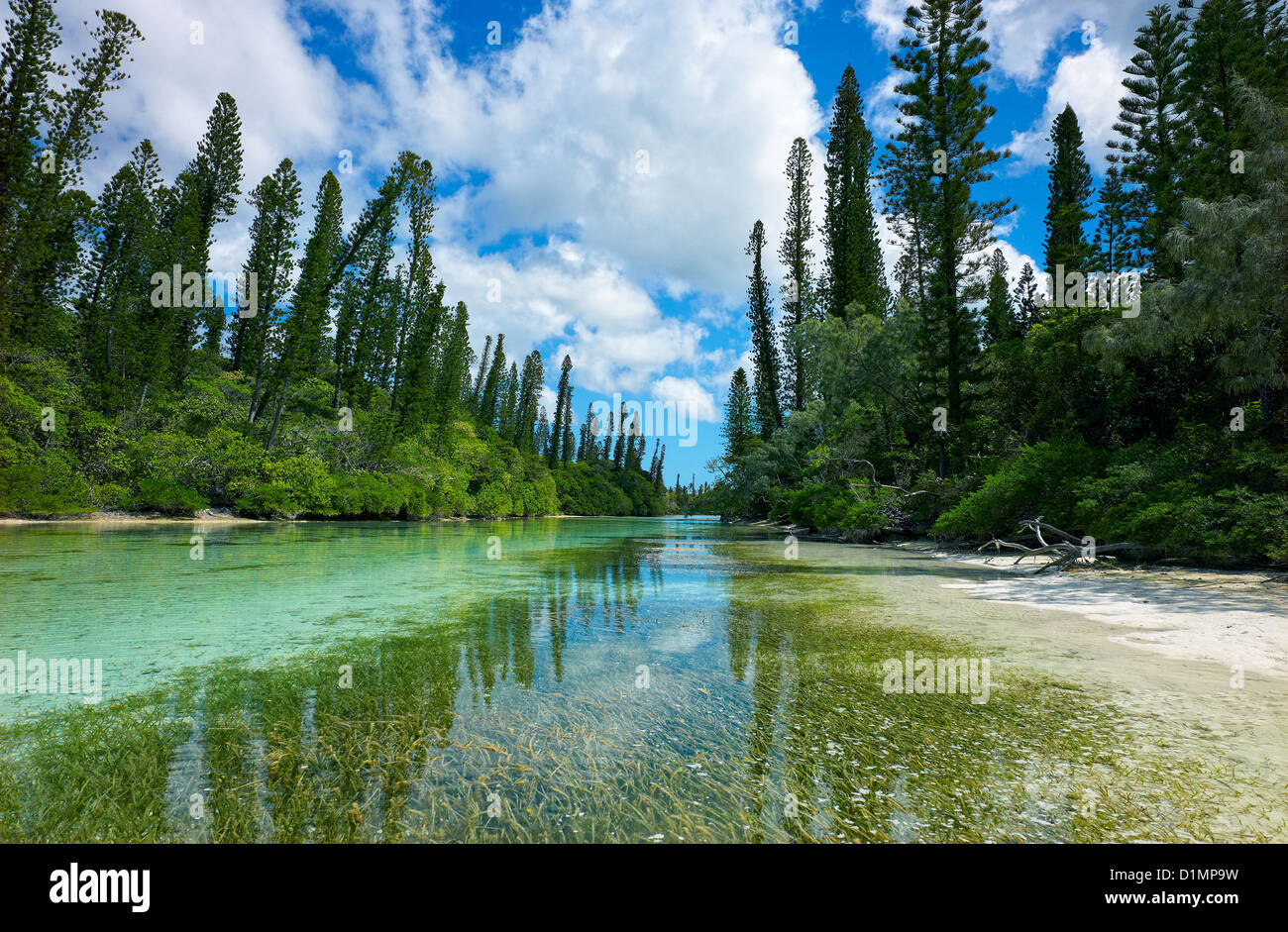 River Isle of Pines New Caledonia Stock Photo