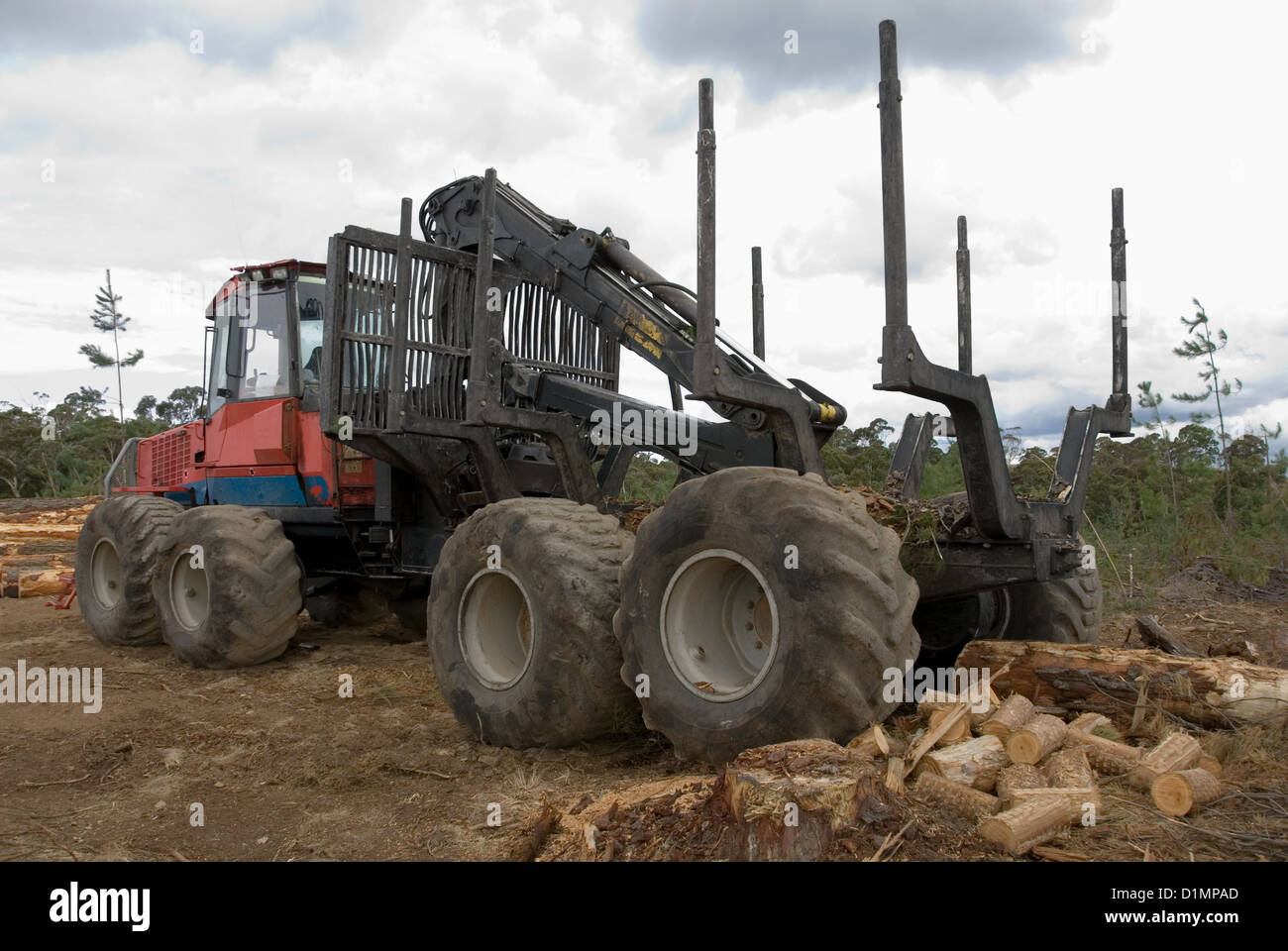 A Log Loader In A Pine Forest Near Oberon New South Wales Australia Stock Photo Alamy