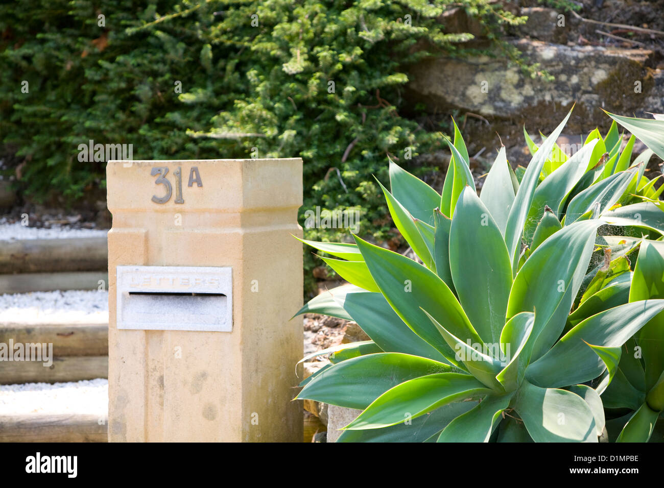 mailbox at an australian home with agave attenuate plant Stock Photo