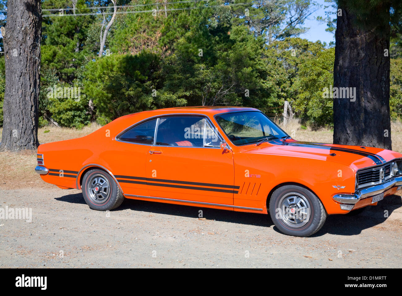 Your Dream Holden Awaits:  Stunning Classic For Sale - 3p5f05o
