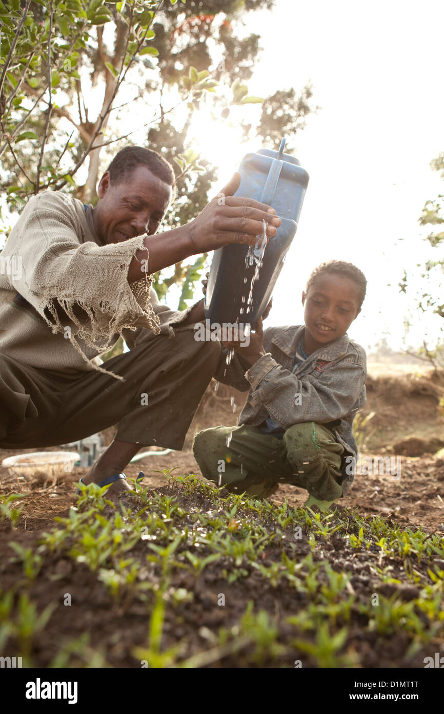 A family waters their garden in Ankober, Ethiopia. Stock Photo
