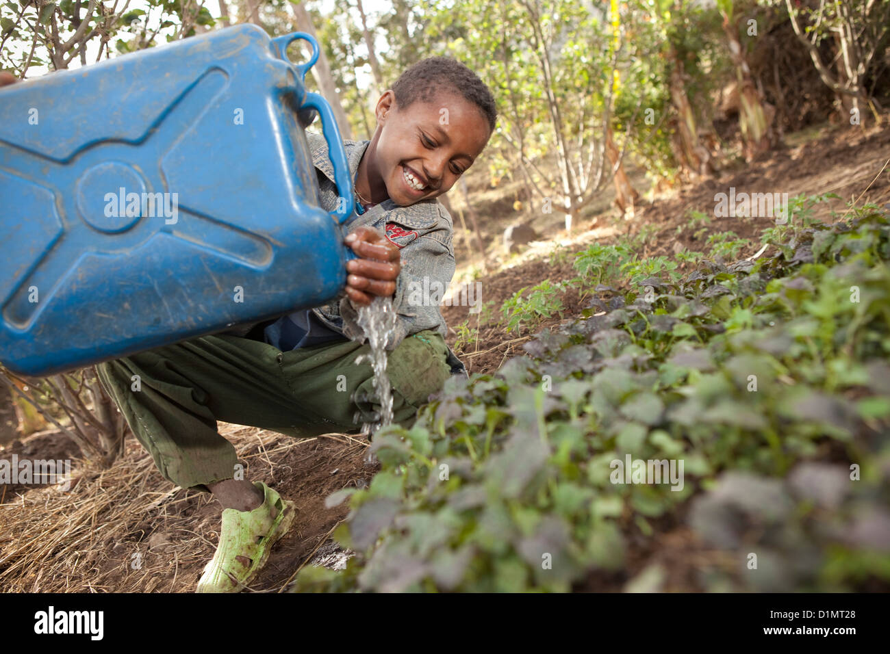 A boy waters his garden in Ankober, Ethiopia. Stock Photo