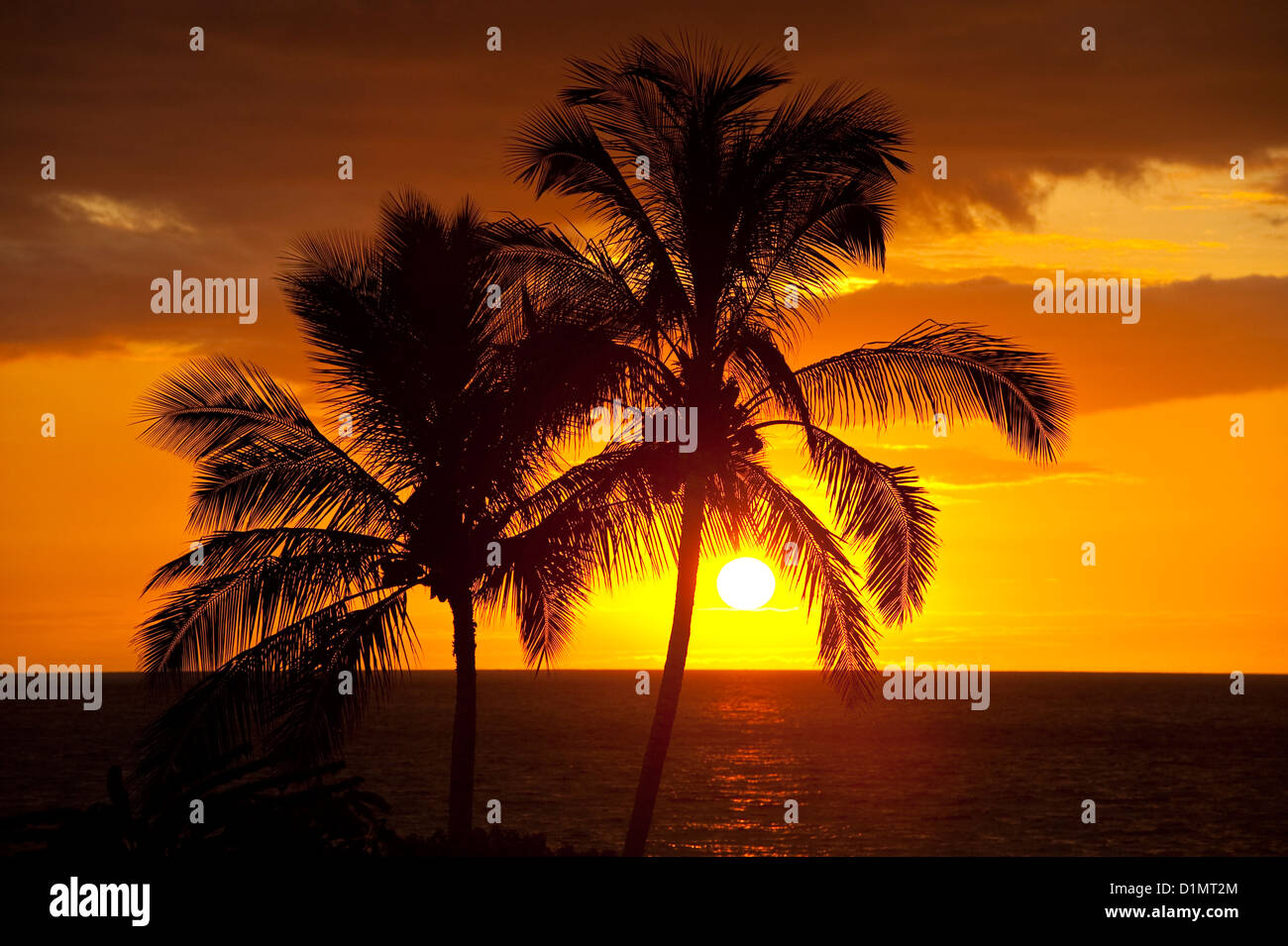 Big Island in Hawaii Sunset Stock Photo Alamy