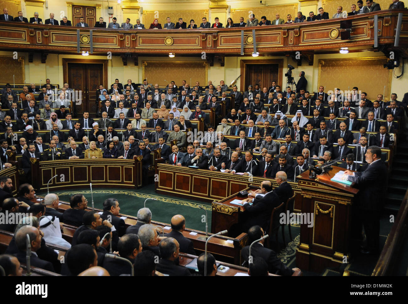 Партия представлена в парламенте страны. Политическая партия Египта. Парламент в Египте палаты. Законодательная власть Египта. Народное собрание Египта.