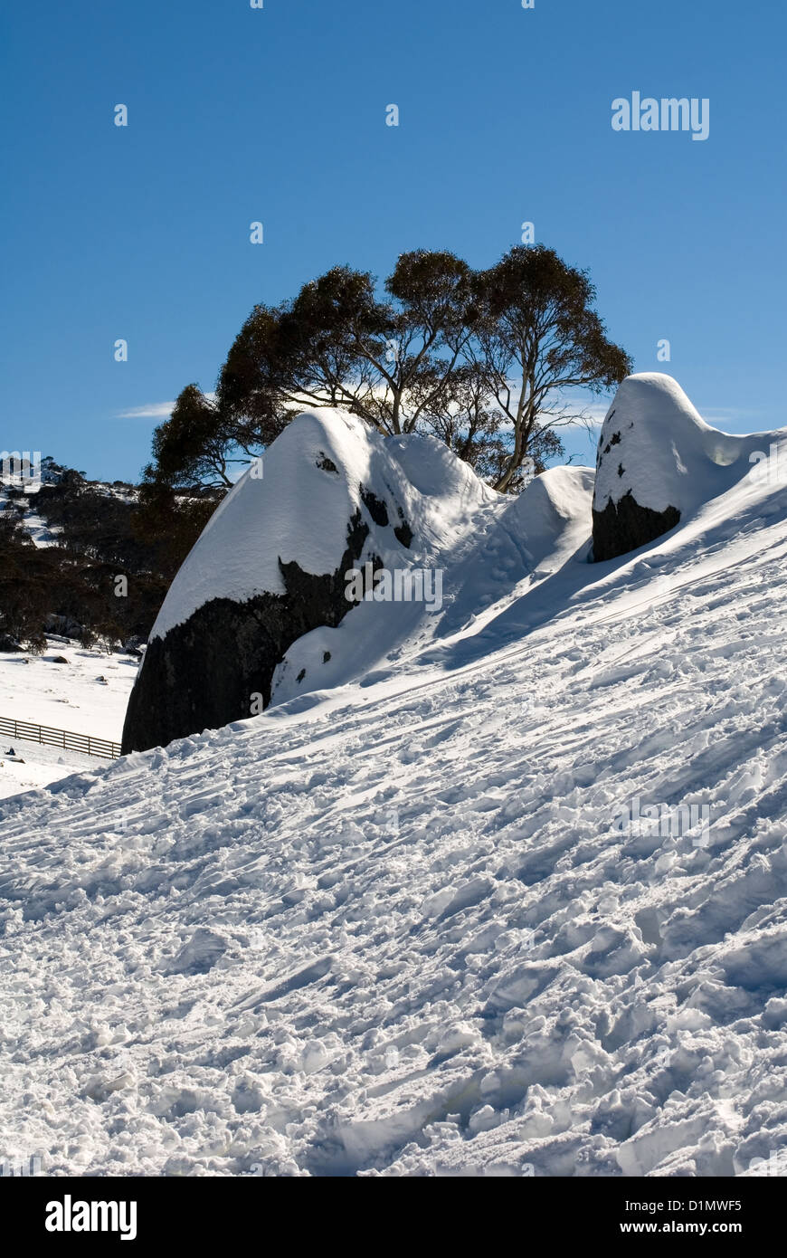 A snow scene in Australia's Kosciuszko National Park Stock Photo Alamy