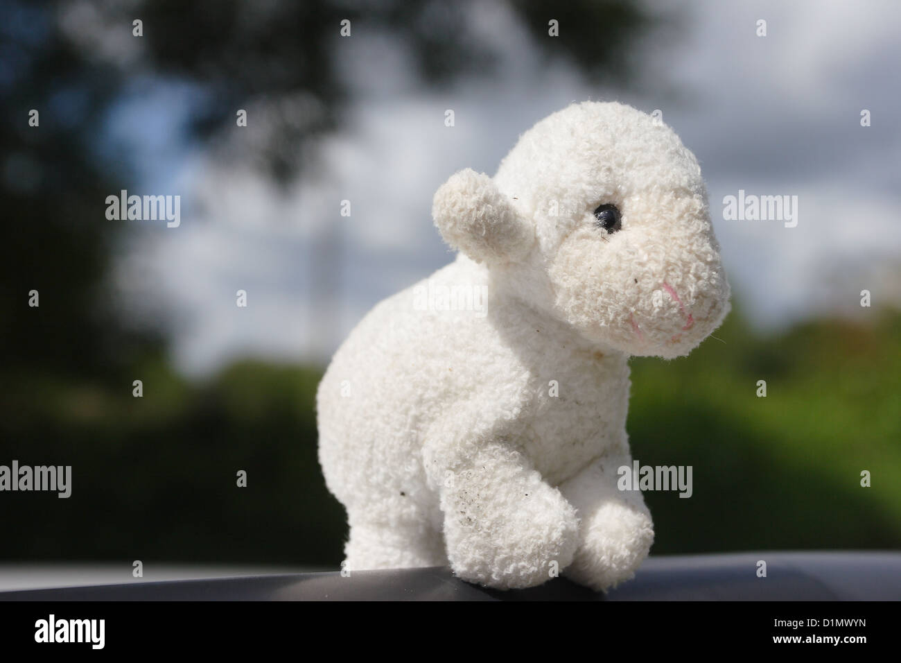 Lucky Lil' Lamb Unisex White