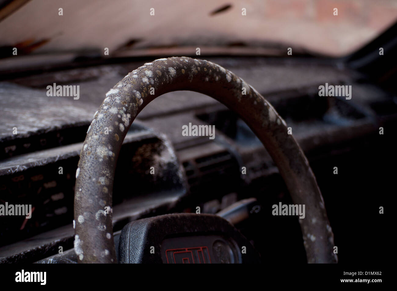 Mold on steering wheel Stock Photo Alamy