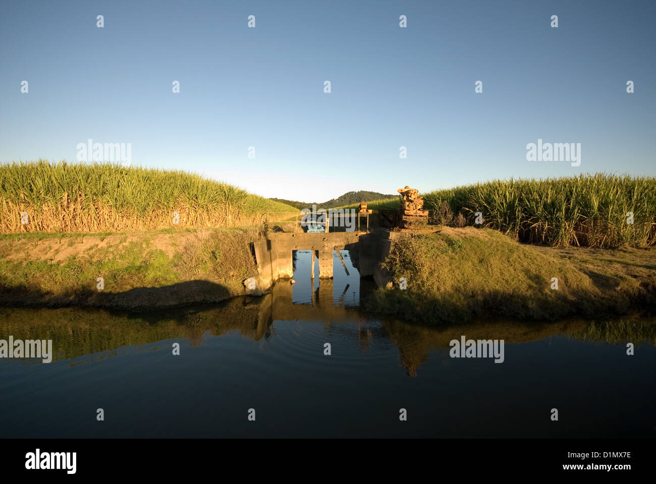 Sugar Cane Farm and Irrigation Canal Stock Photo Alamy