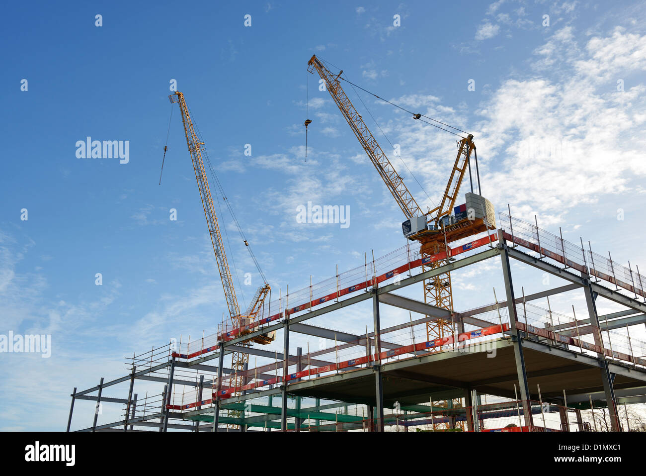 Steel frame and two cranes on a UK construction site Stock Photo