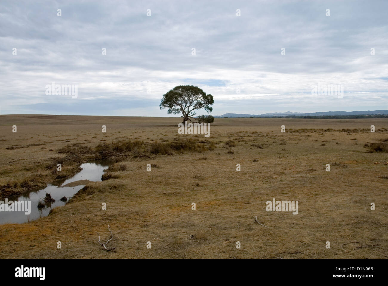 Rural Scene Stock Photo Alamy