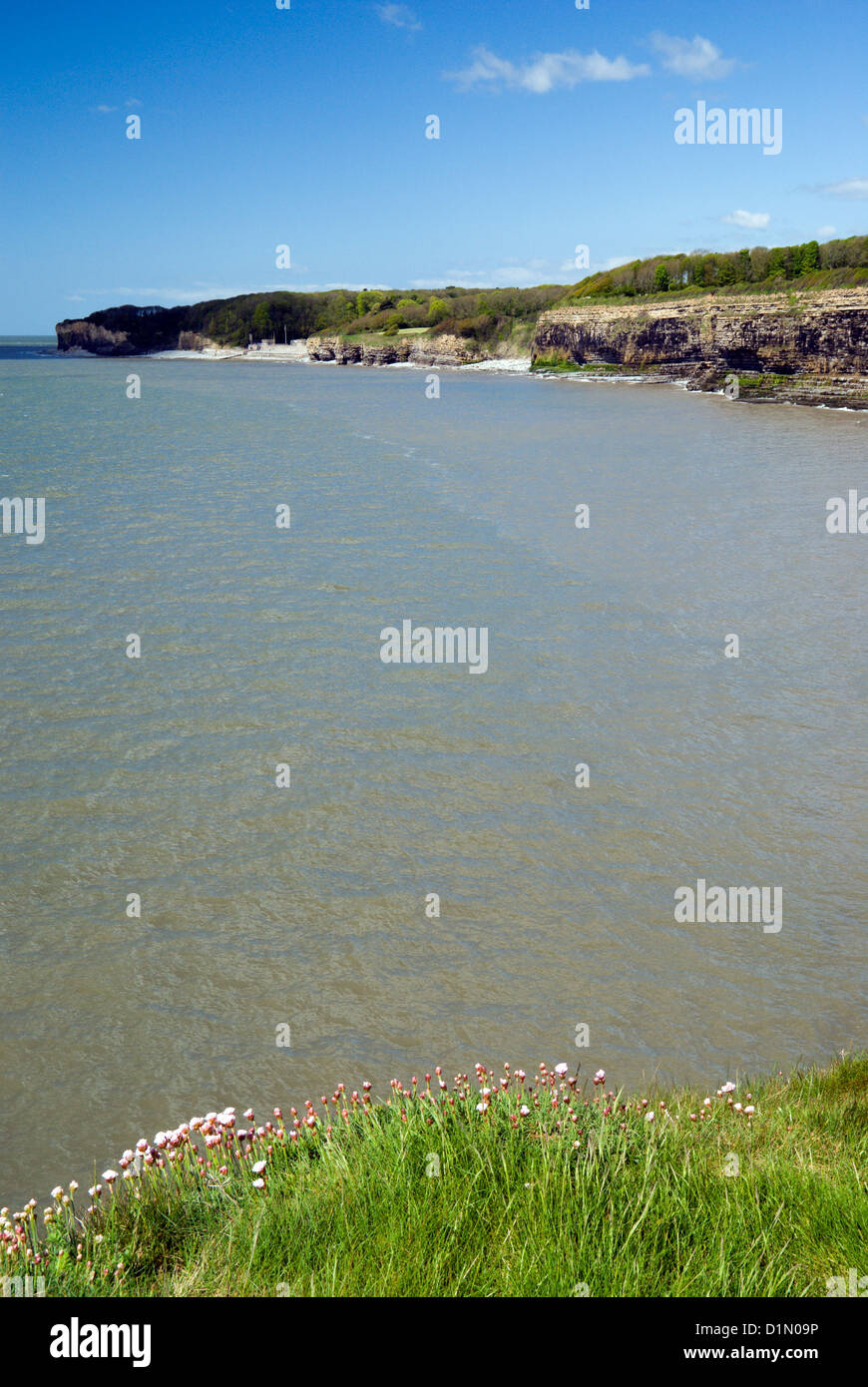 Cliff scene, St Donats, Llantwit Major, Glamorgan Heritage Coast, Vale of Glamorgan, South Wales. Stock Photo