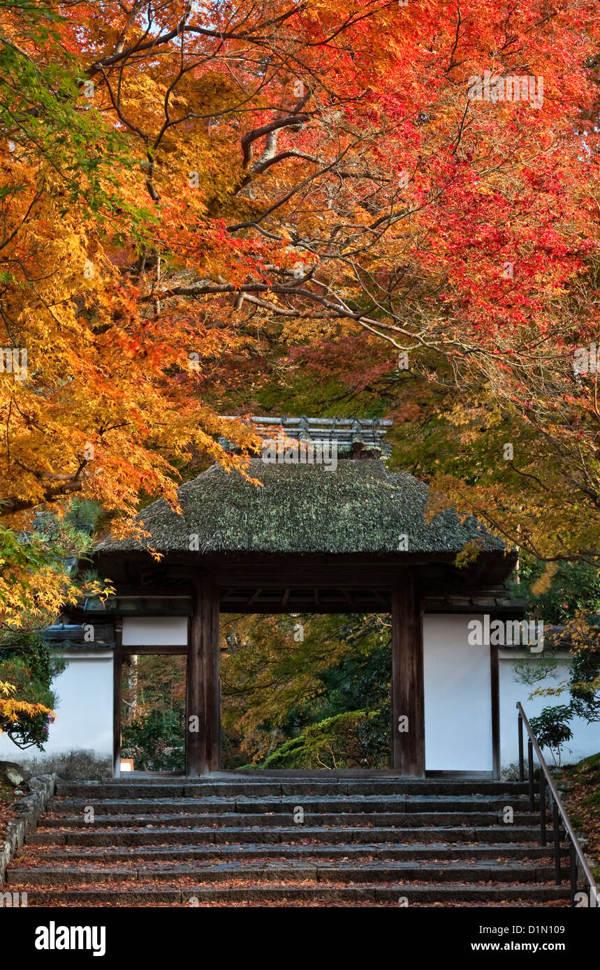 Autumn foliage overhanging the gate to Anraku-ji Temple, just off the famous Philosopher's Path in eastern Kyoto, Japan Stock Photo