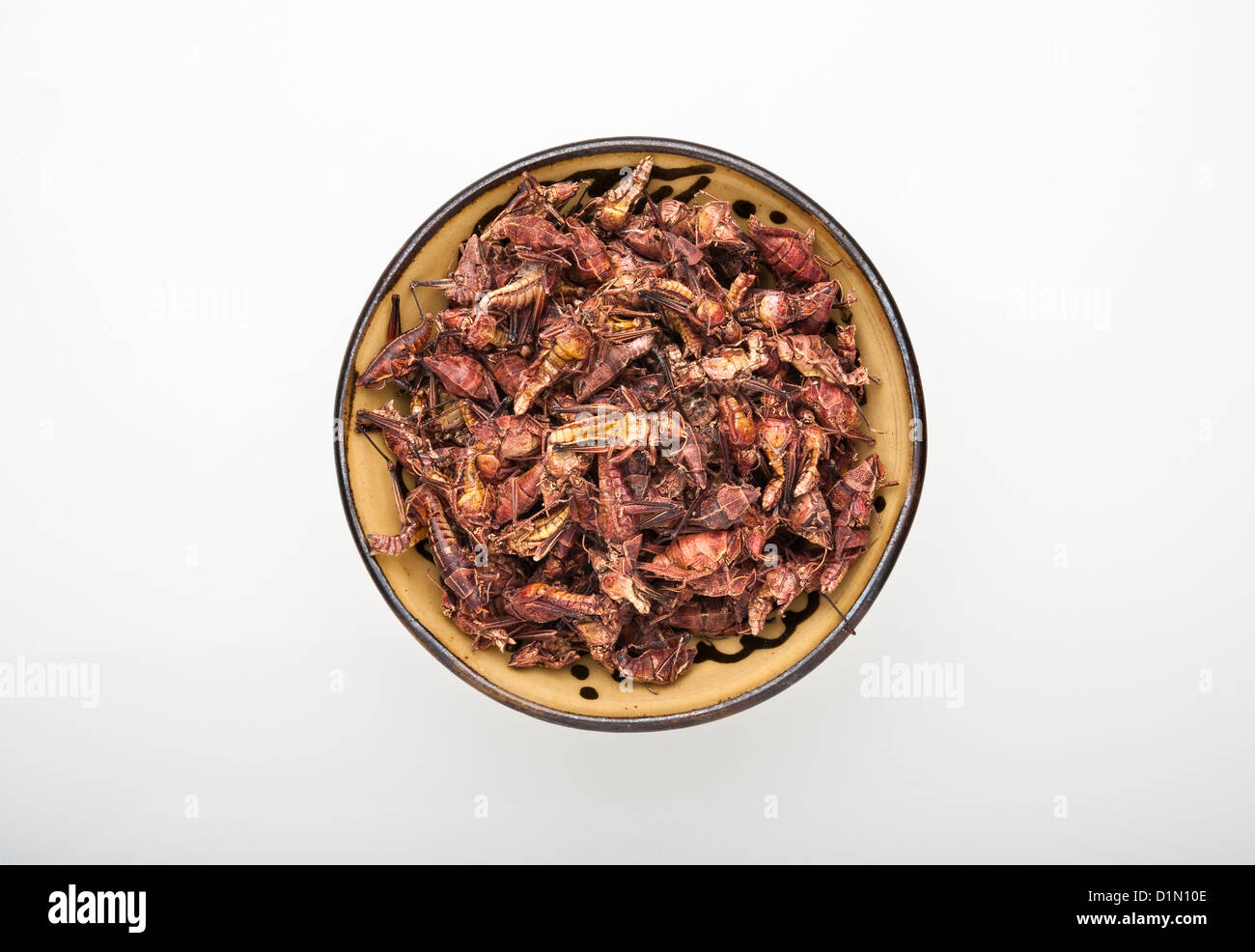 A bowl of chapulines or fried crickets (grasshoppers or katydids), a traditional Mexican delicacy Stock Photo