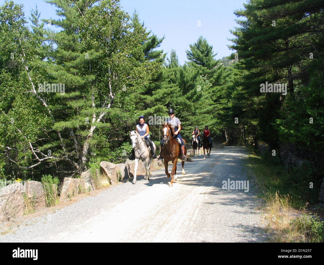 Horseback riding olympic national park