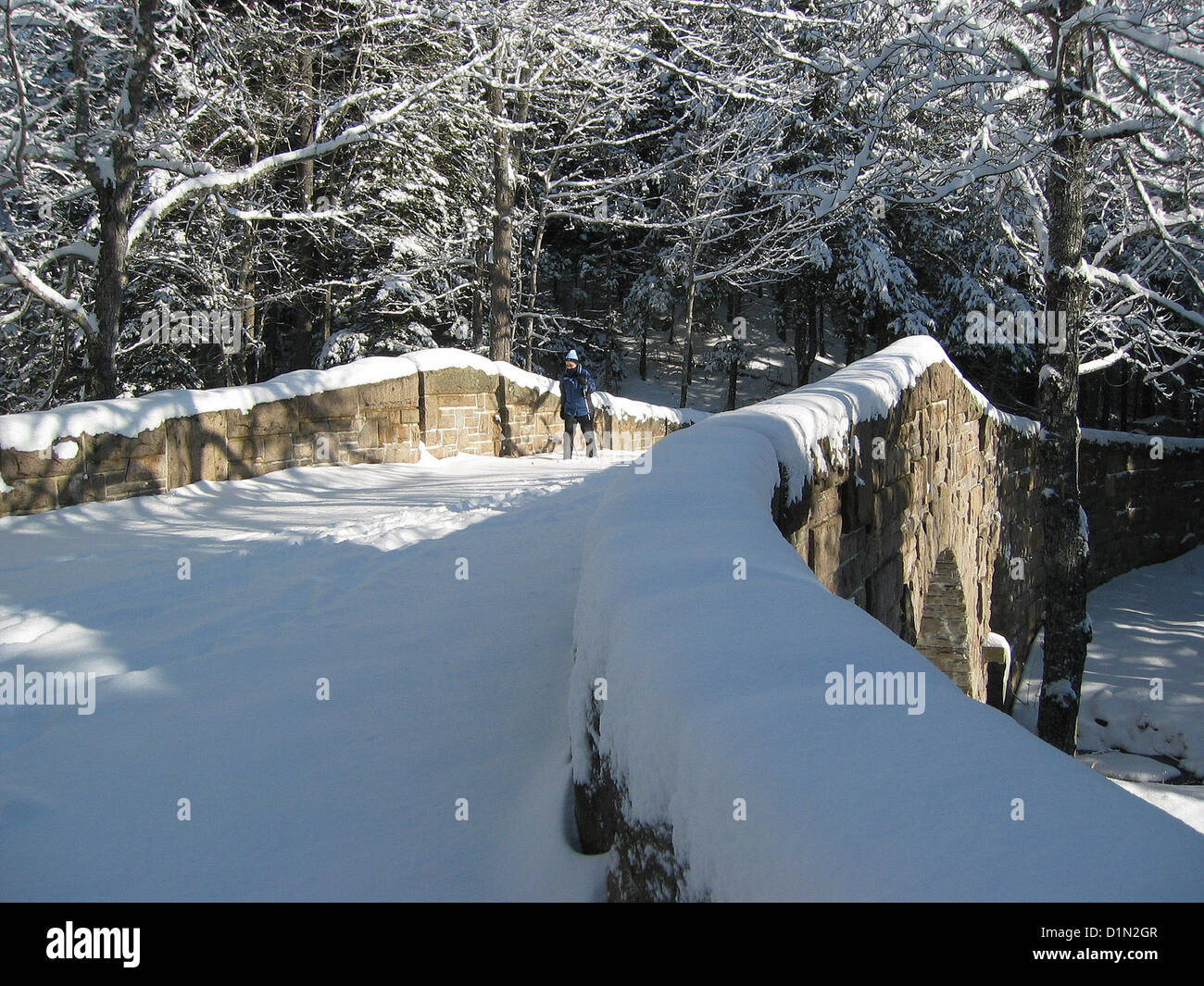 Cross country skiin hires stock photography and images Alamy