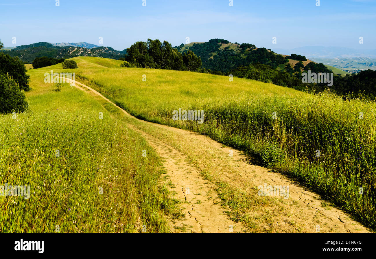 Dirt road receding into the distance through a grassy hill-top meadow at Mount Diablo State Park, Contra Costa County California Stock Photo