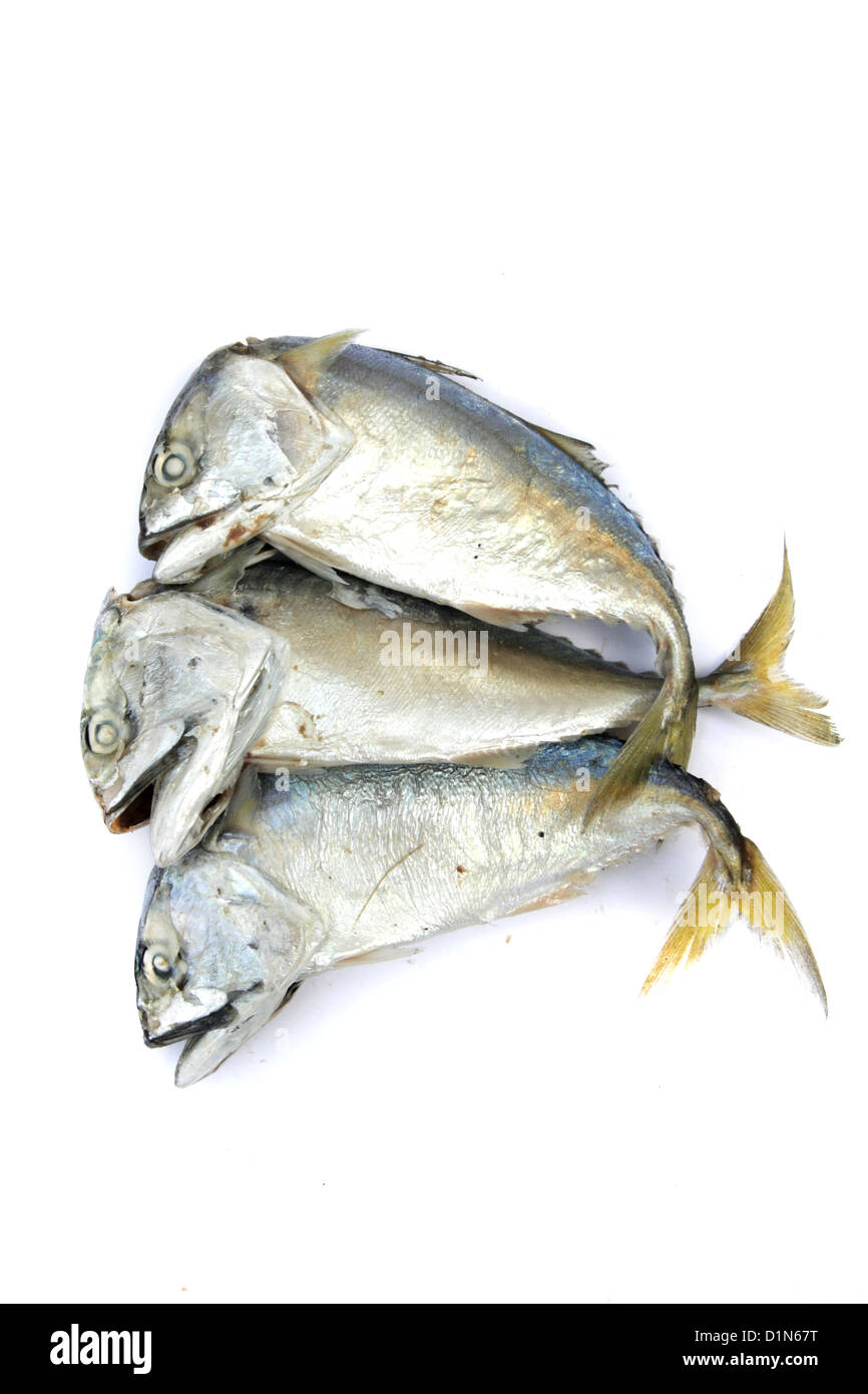 Chip va Deyl porno film Qiziqarli onlayn porno syujet