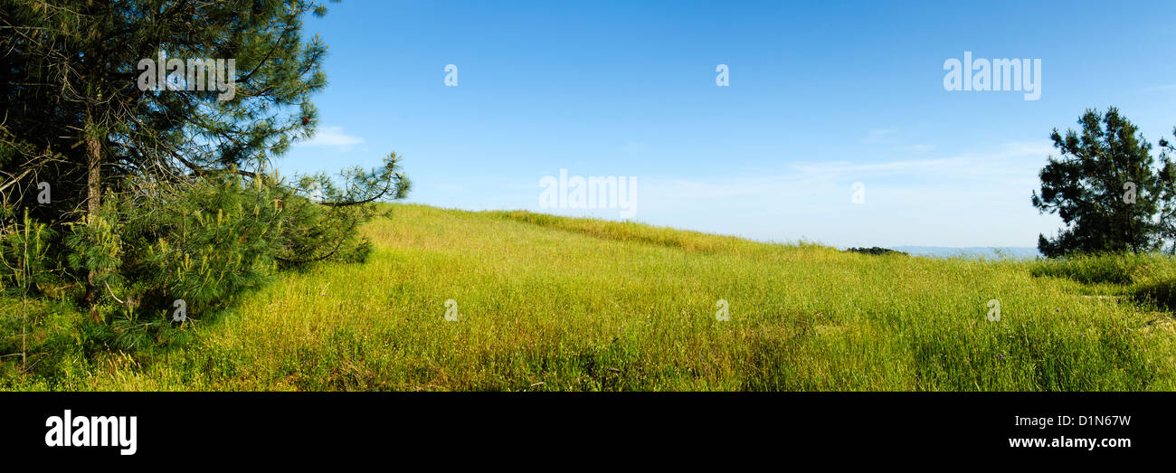 Panoramic of a grassy meadow at Mount Diablo State Park, Contra Costa County, California, USA Stock Photo