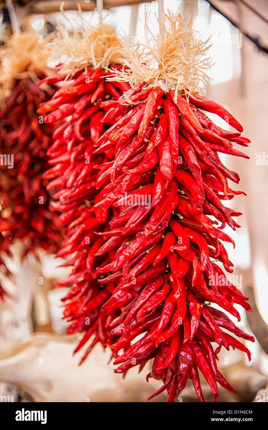 Dried New Mexico peppers hanging in an outside display Stock Photo Alamy