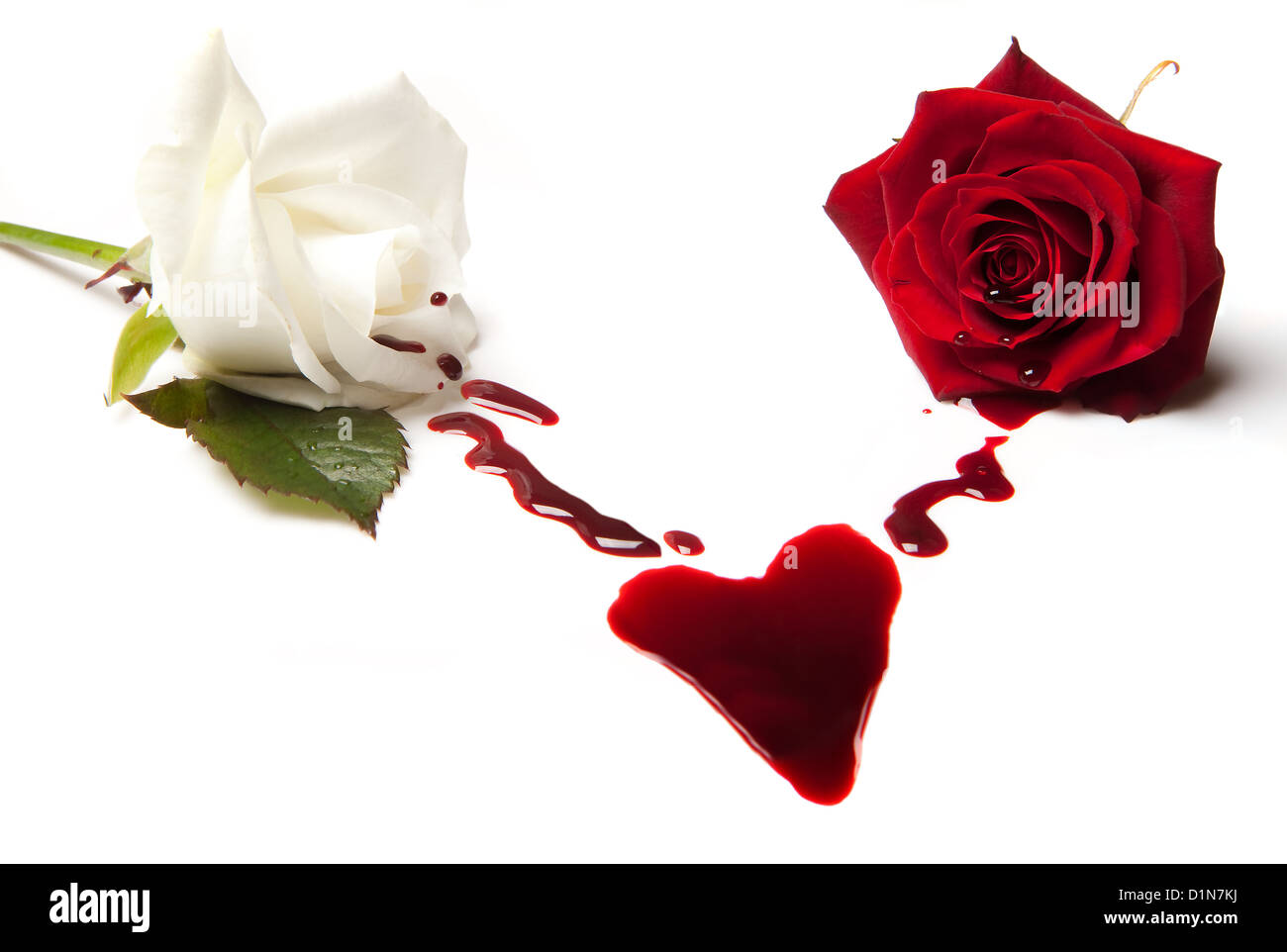 Two bleeding roses forming a heart shaped blood stain Stock Photo Alamy