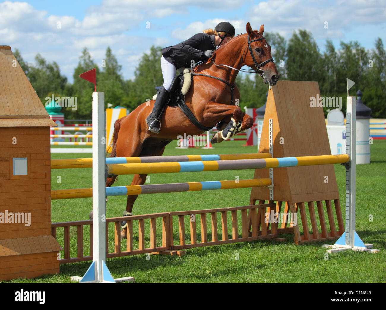 Horse&Rider Classics Set-Jump