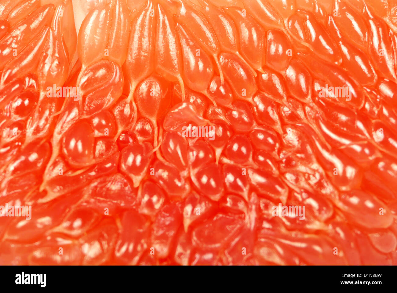close up fresh halves grapefruit Stock Photo