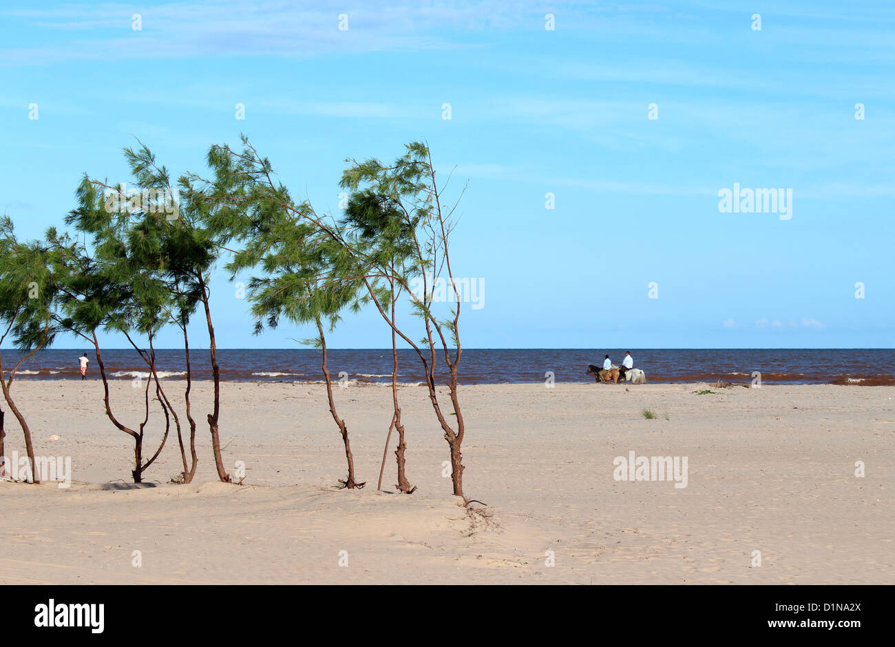 Kenya beach, Ocean Beach Resort, Malindi, Kenya, East Africa Stock Photo