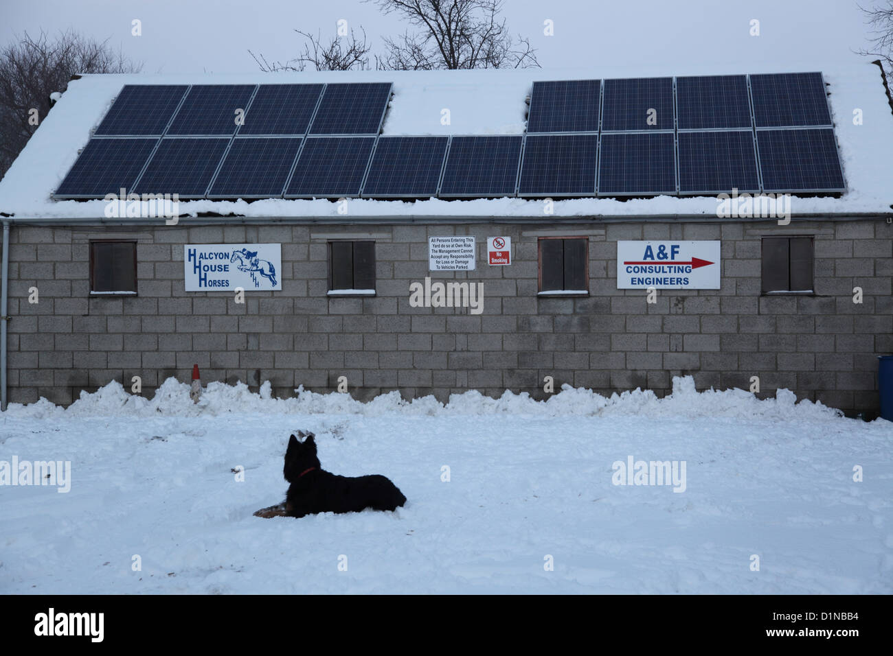 solar panels on barn with snow and dog Stock Photo