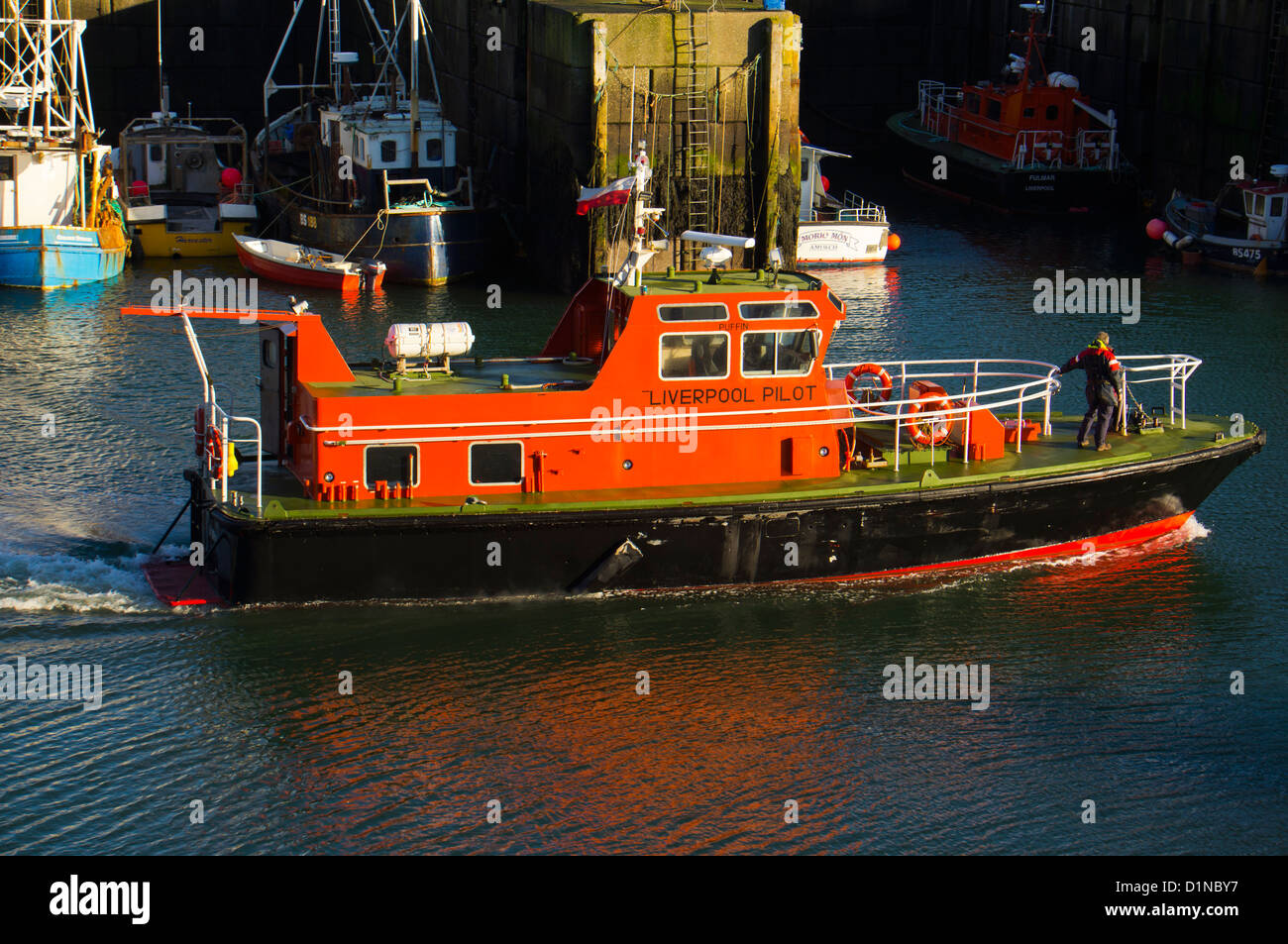 Amlwch Port Amlwch Anglesey North Wales Uk. Outer Harbour. Puffin Liverpool Pilot launch coming in to berth. Stock Photo