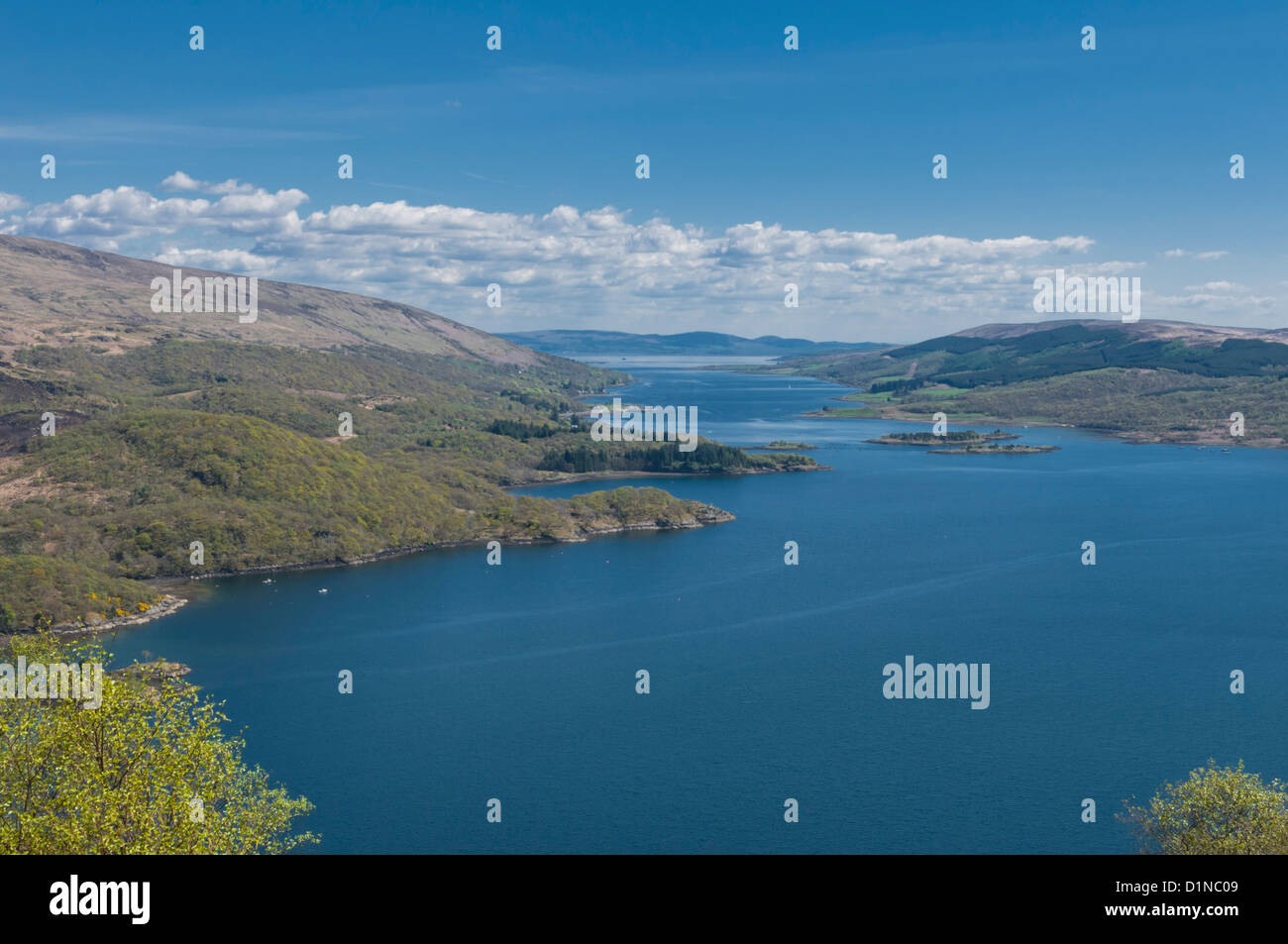 kyles-of-bute-nr-tighnabruaich-argyll-bute-scotland-stock-photo-alamy