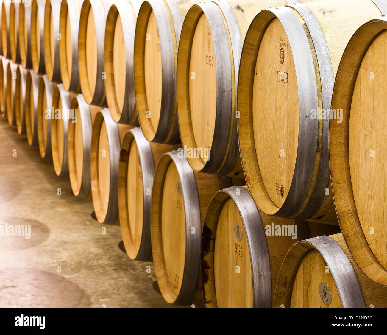 Rows of wine barrels in wine cellar Stock Photo - Alamy