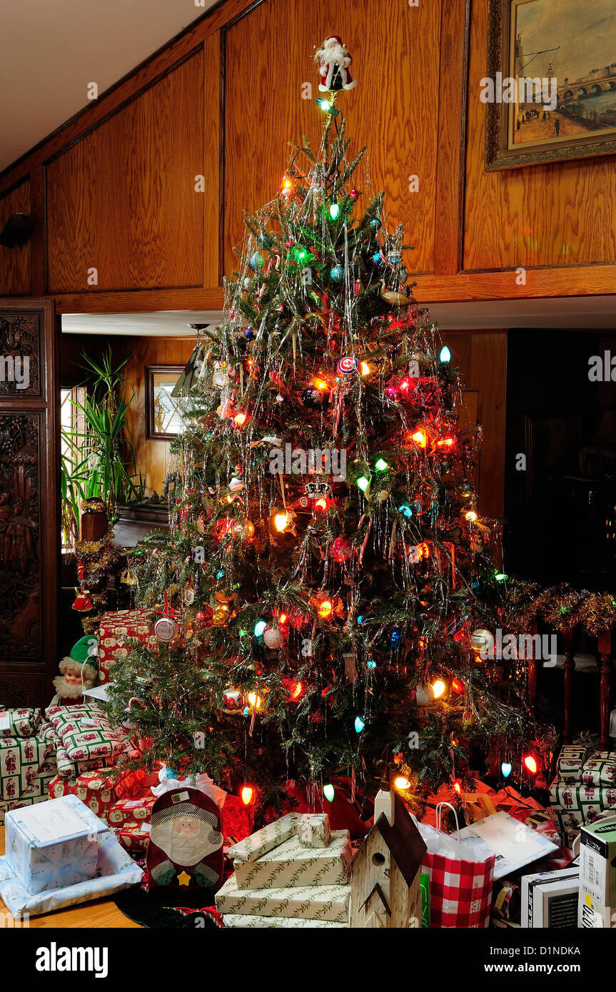 White Spruce Christmas Tree 