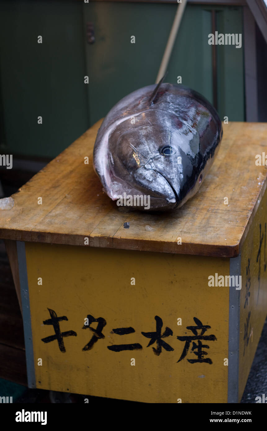 Tuna at Tsukiji Fish Market, Tokyo, Japan Stock Photo - Alamy